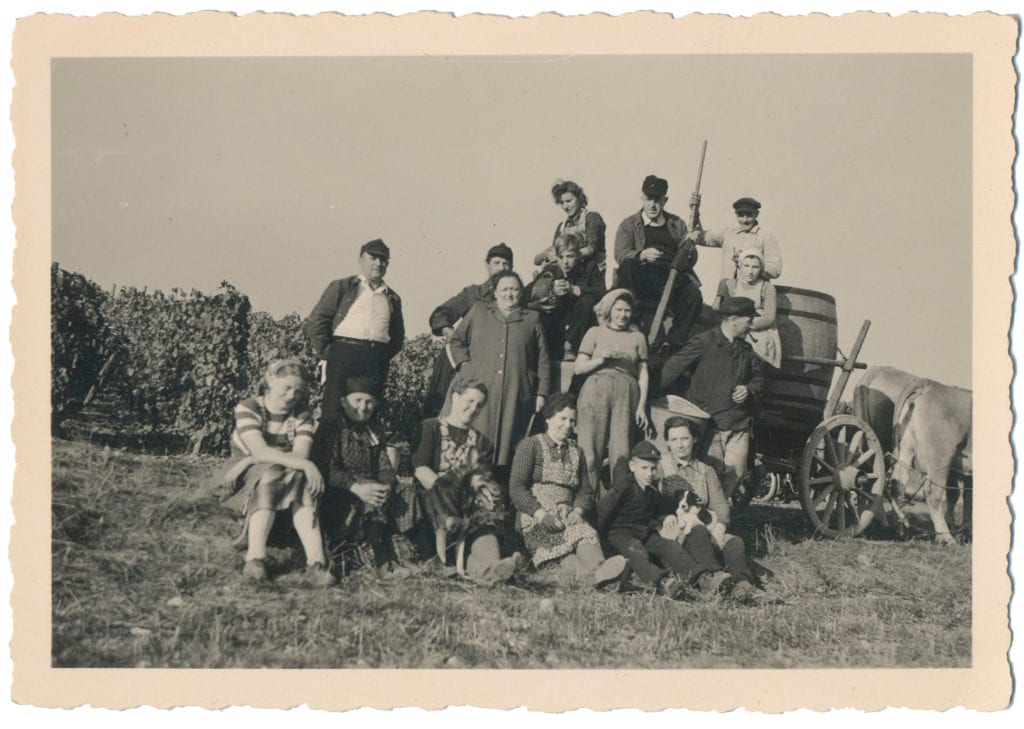 Altes Schwarzwei&szlig;foto einer Familie an einem Weinberg vor einem Ochsenkarren. Mehrere Generationen Frauen und M&auml;nner sind zu sehen.